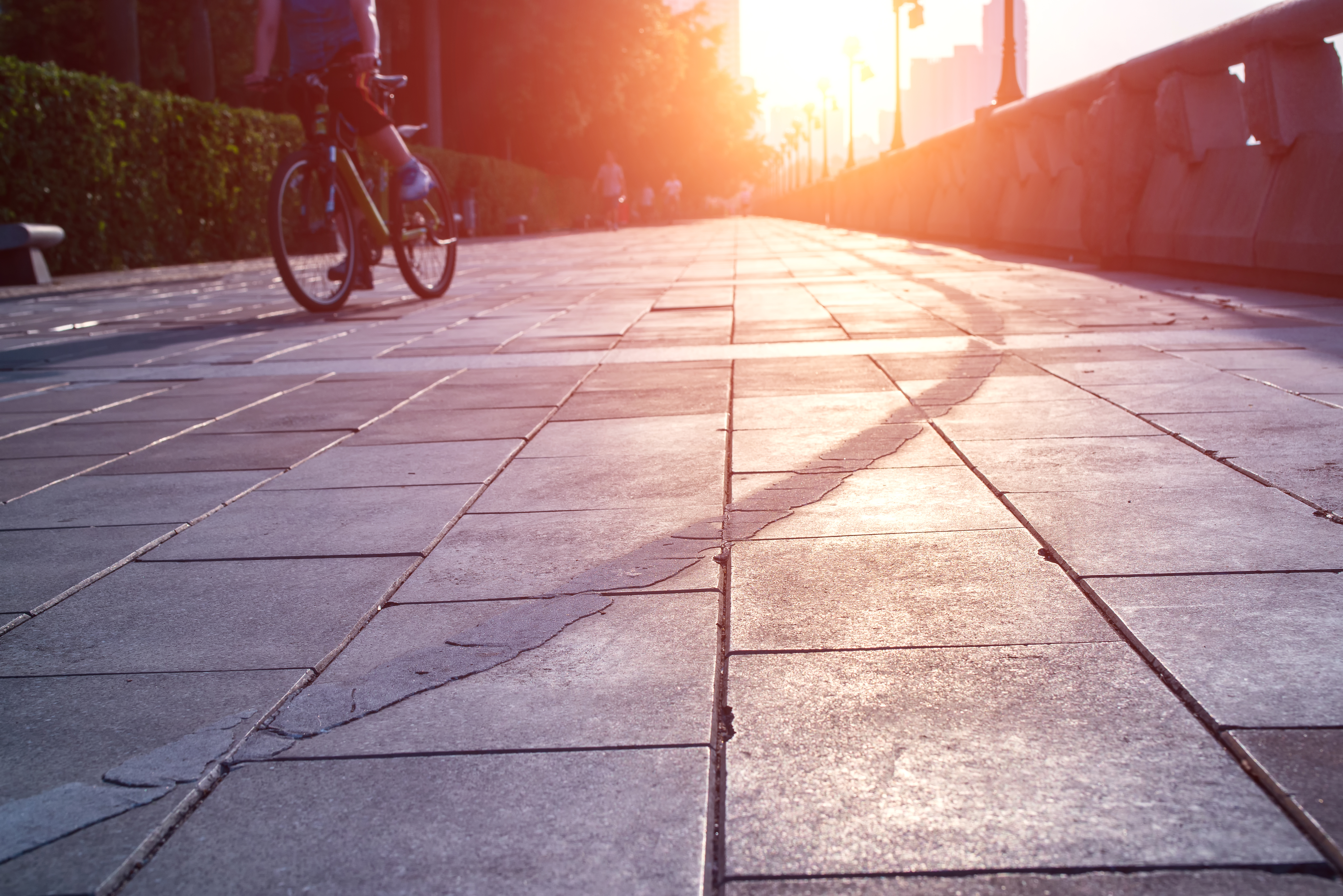 Paving and irrigation-style outdoor installation detail